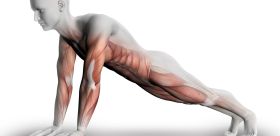 Zerwanie mięśnia - na czym polega taki uraz i jak się go leczy?